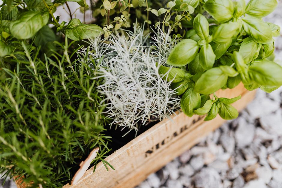 DIY verticale kruidentuin met moderne inrichting.